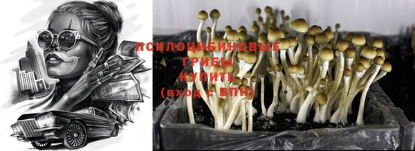 марки lsd Костерёво