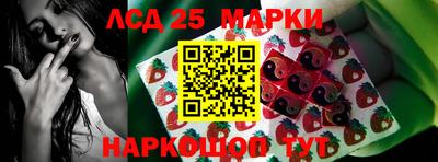 амф Новодвинск