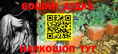 амф Новодвинск
