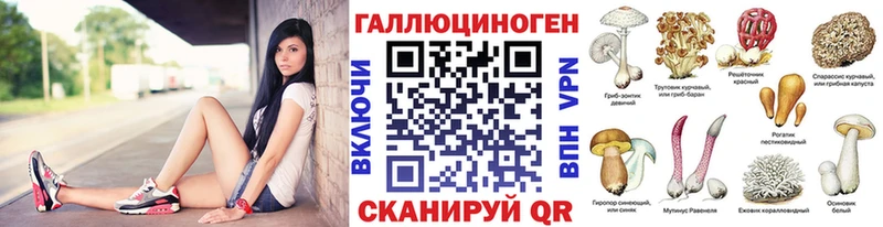 shop состав Арзамас Галлюциногенные грибы GOLDEN TEACHER