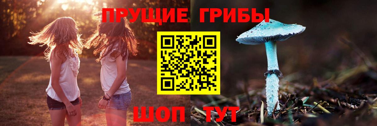 Псилоцибиновые грибы мицелий  Вход с VPN  Псилоцибиновые грибы GOLDEN TEACHER  Арзамас 